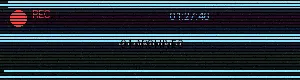 91档案 - 我想用扇贝夹你的乌龟 原创影像平台